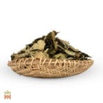 0002-0269 – Banisteriopsis caapi – Peru, Yellow, leaves, whole_B Caapi Leaves (Banisteriopsis Caapi) - Whole Cielo Yellow Caapi Leaves, Shipibo-Conibo tribe, from Peru