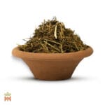 0002-0557 – Banisteriopsis caapi – Peru, Yellow, vine, shredded_B