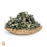 0008-4322 – Psychotria viridis – Ecuador, Napo, leaves, whole_B Chacruna (Psychotria Viridis) - Whole Leaves from Ecuador