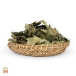 0009-0086-–-Diplopterys-cabrerana-–-Peru,-Tarapoto,-leaves,-whole_B