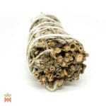 White Sage (Salvia Apiana) - Leaves in Small Smudge Bundle, from Oregon, United States