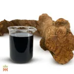 0256 - Liquid Caapi Extract 121 - Peruvian Red Ayahuasca Vine Liquid Caapi Extract 12:1 (Banisteriopsis caapi) - Peruvian Red Ayahuasca Vine