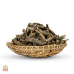 0285-2262 – Ligusticum porteri – root whole_B Osha (Ligusticum Porteri) - Whole Root from Mexico