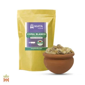 Copal Blanco (Dacryoides Peruviana) - Incense Resin from Indonesia