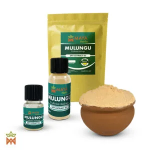 Mulungu Extract