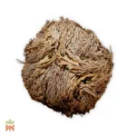 Rose of Jericho (Selaginella Lepidophylla) - Rose of Sharon, Dried Plant