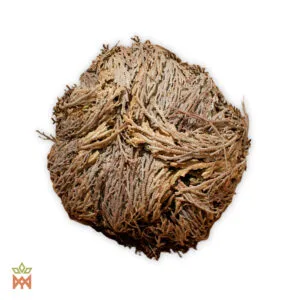 Rose of Jericho (Selaginella Lepidophylla) - Rose of Sharon, Dried Plant