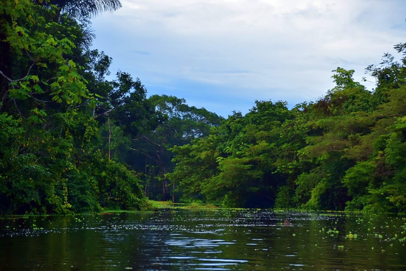 River Croa in Acre, Brazil