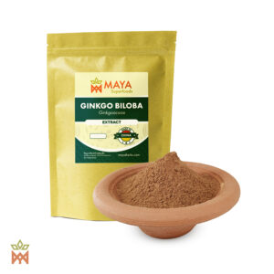 Ginkgo Biloba Extract (Ginkgoaceae) - Dry Extract from China