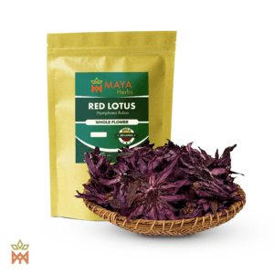 Red Lotus (Nymphaea Rubra) - Whole Flower from Sri Lanka