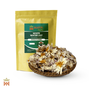 White Lotus - Whole Flowers from Sri Lanka