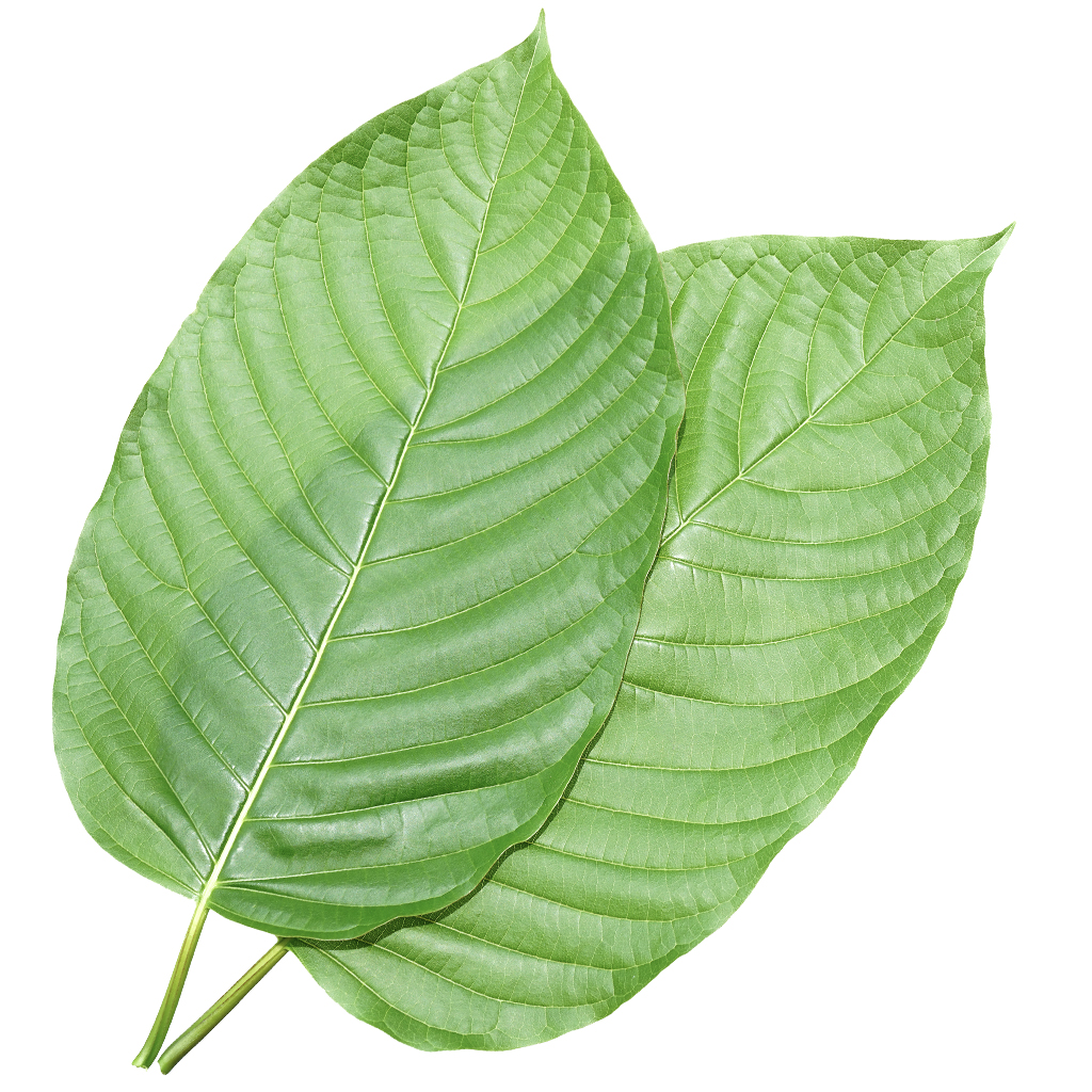 Green Kratom