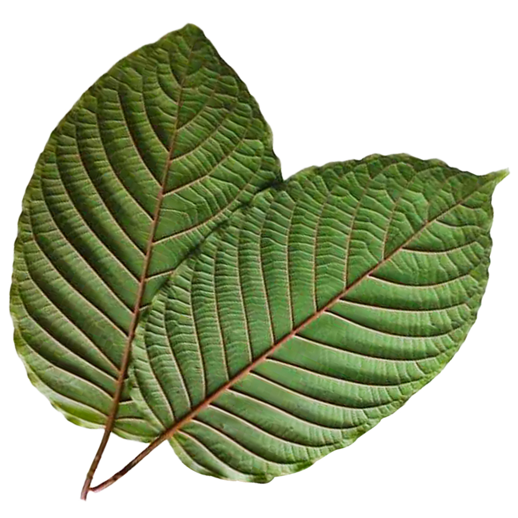 Red Kratom