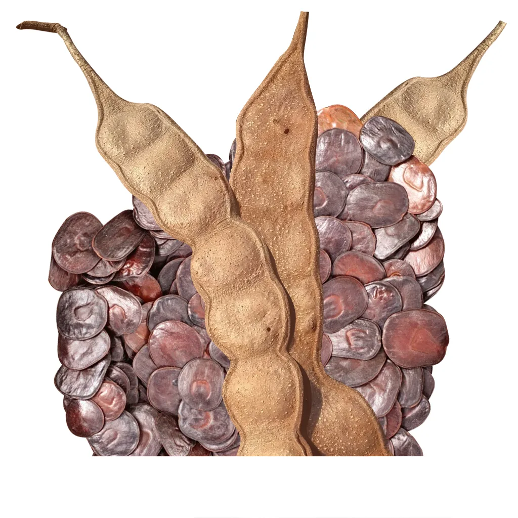 Aya Plants | MAYA Ethnobotanicals